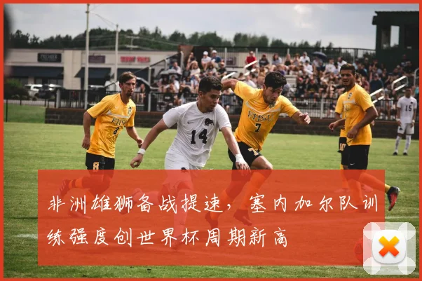 非洲雄狮备战提速，塞内加尔队训练强度创世界杯周期新高