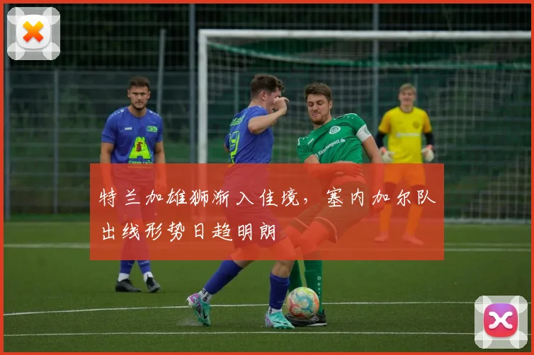 特兰加雄狮渐入佳境，塞内加尔队出线形势日趋明朗