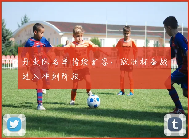 丹麦队名单持续扩容，欧洲杯备战进入冲刺阶段