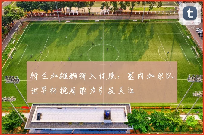 特兰加雄狮渐入佳境，塞内加尔队世界杯搅局能力引发关注