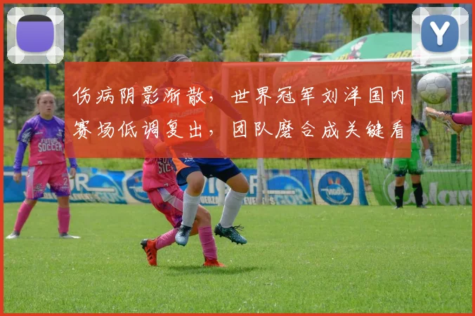 伤病阴影渐散，世界冠军刘洋国内赛场低调复出，团队磨合成关键看点